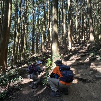 上手く撮れないと写真撮るのに必死⁉️ 
撮れた〜❓