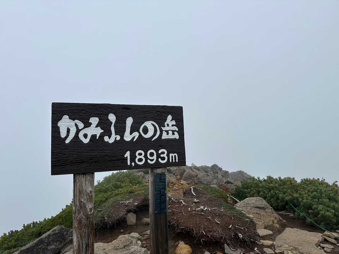📷スタジオかみふらの

白さを満喫してたら銀座のマチコ様（ギンザンマシコ）がゾロゾロと現れて面白かった😅3羽いたかな…。
『マチコ様、どちらへお買い物ですか〜』