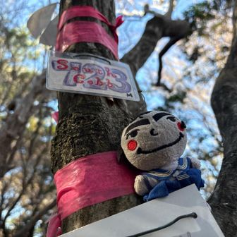 五座目　南コブ　　723m
洒落た山名板　
sｏｕｔｈ　　ｃｏｂｂ

