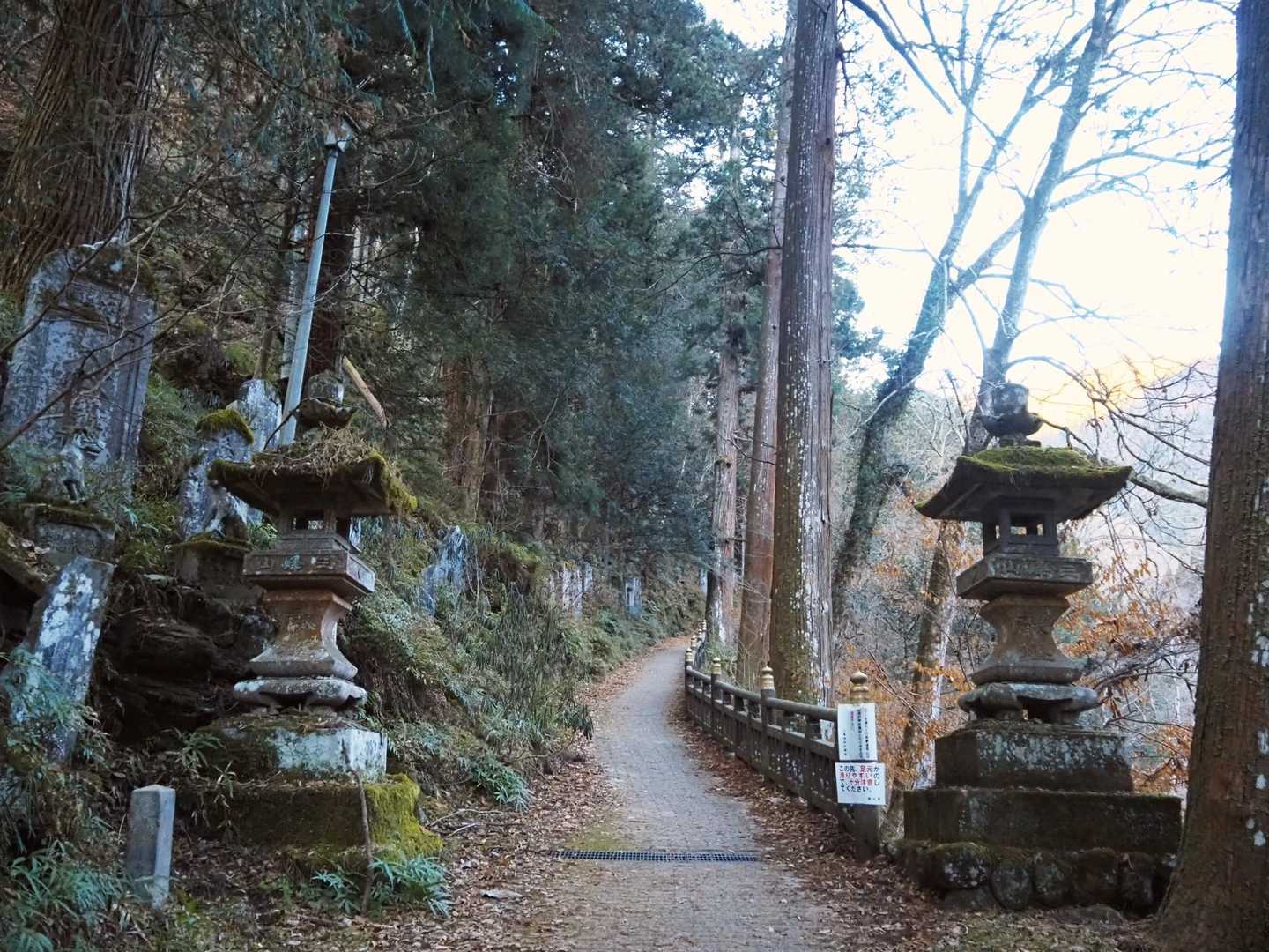 信仰のお山。パワーたくさんいただいて帰りたい😆