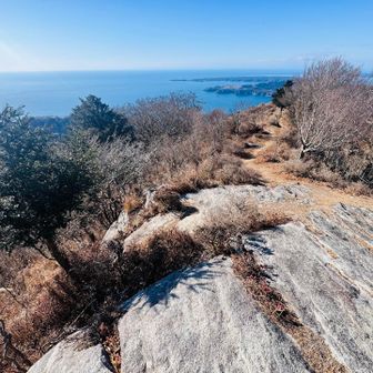 少し歩いてみる。おおー✨