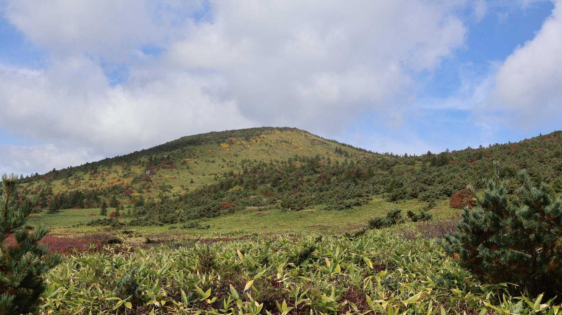あれは後で行く東吾妻山かな