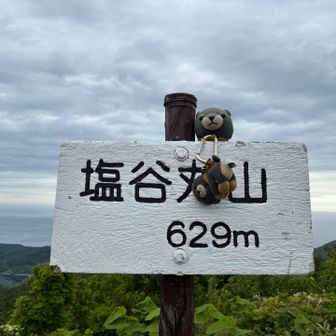 トウチョ🐶
ゴミはほぼなし🙋‍♂️