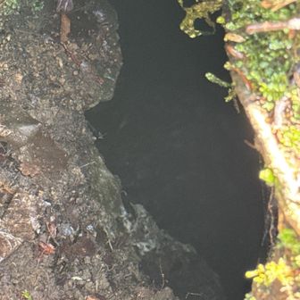 ライトは🔦 時間が無いので パス