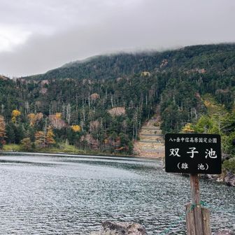 雄池到着