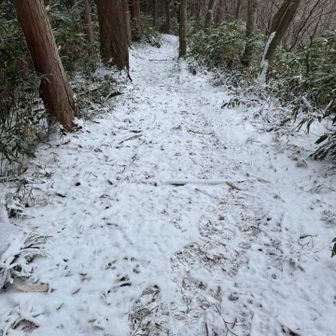 下り滑って転びそうになる⚠️