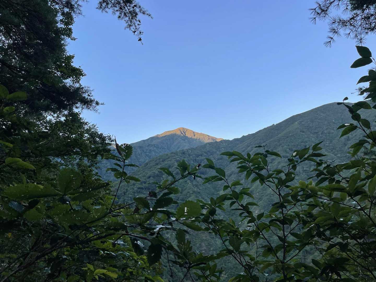 ネコブの稜線に光があたる。
