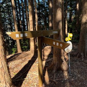 分岐があります。