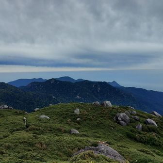 屋久島は、岩の山ですね。