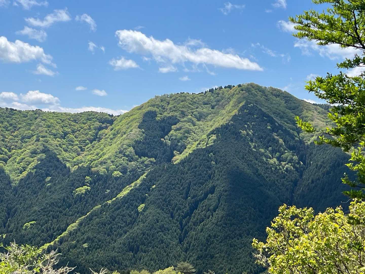 ほら😊
これが見たかった🤭
