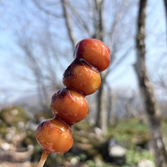 みたらし〜
食べて鍋尻山へ