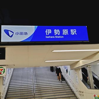 途中のコンビニで肉まんを食べてエネルギーチャージ💪
伊勢原駅から電車で秦野駅に戻りました😊