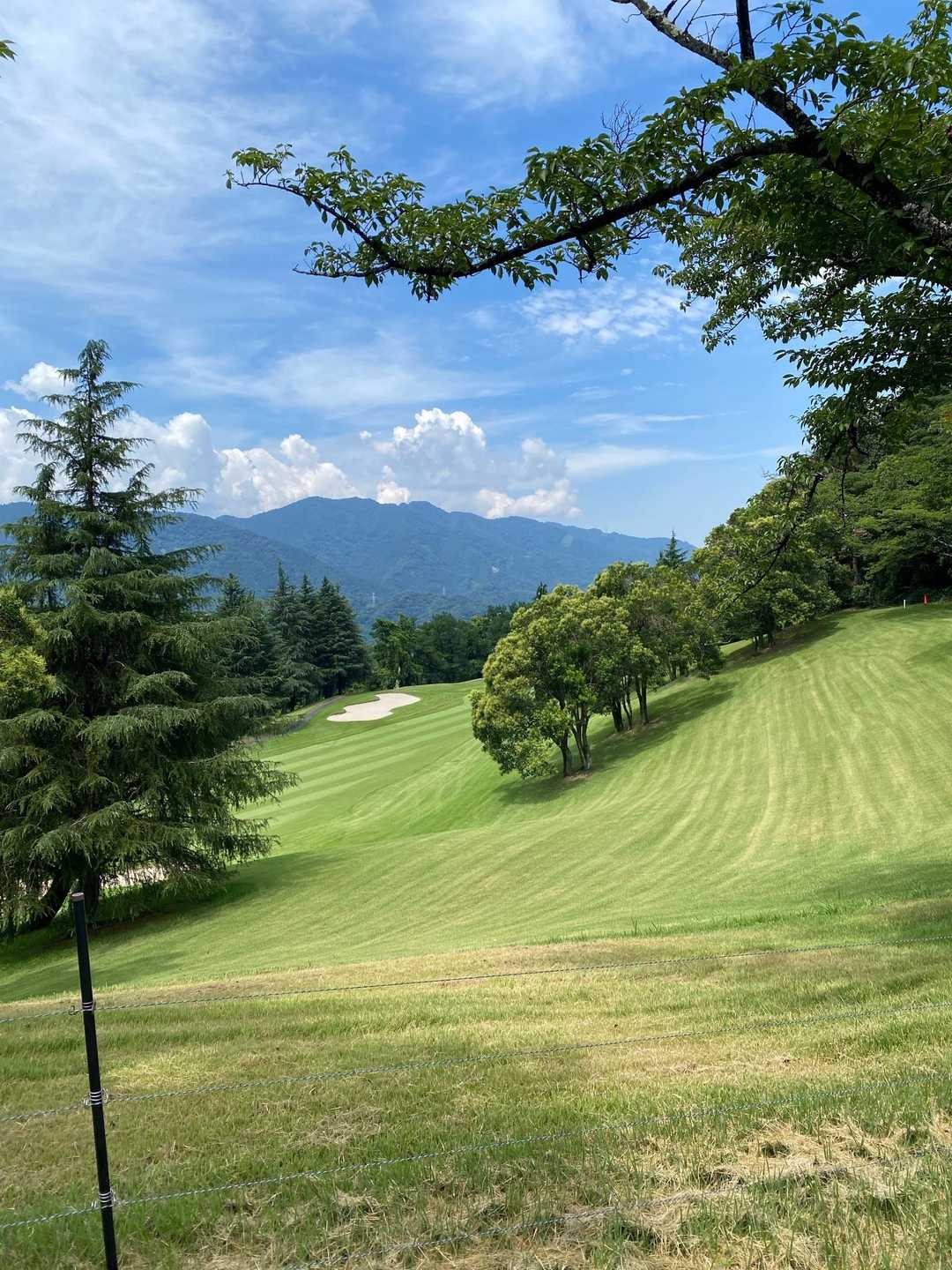 八菅山 往復コースの写真