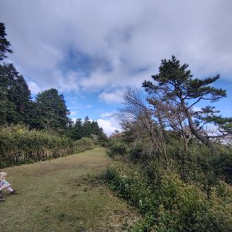 平坦でキレイに刈り込まれた明星ヶ岳山頂。展望はなし。青空見えた💙