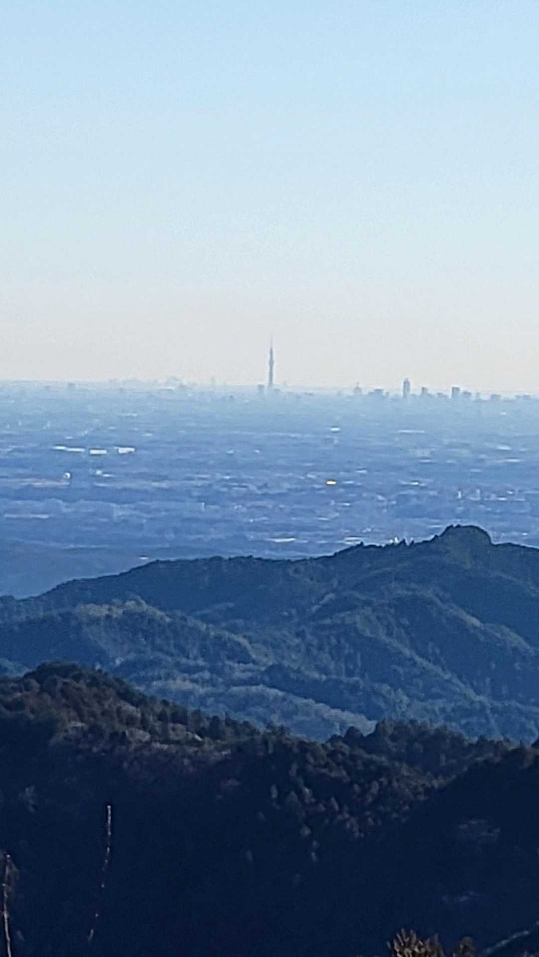 スカイツリー