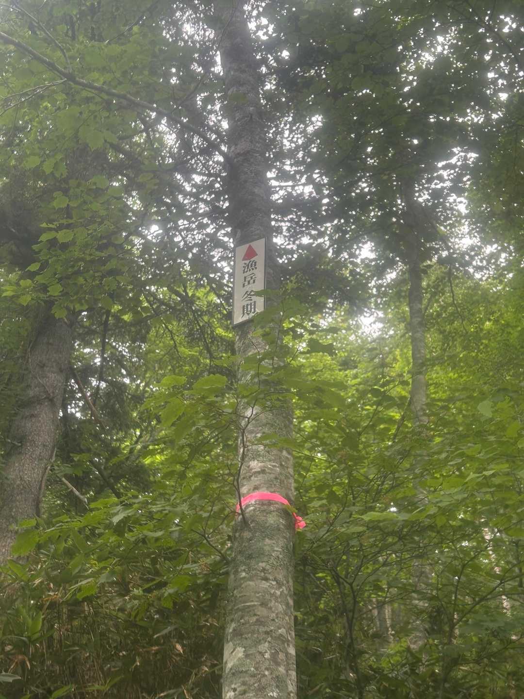 冬季登山口　発見😳
かなり高い位置に看板あるー