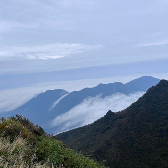 幻想的な鶴見岳