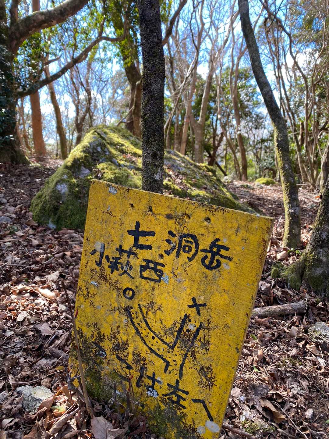 もーすぐ昼なんでココから引き返します