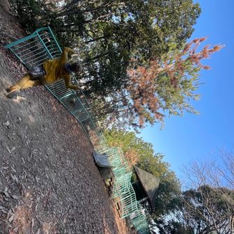 ここも間違いなく公園です🛝