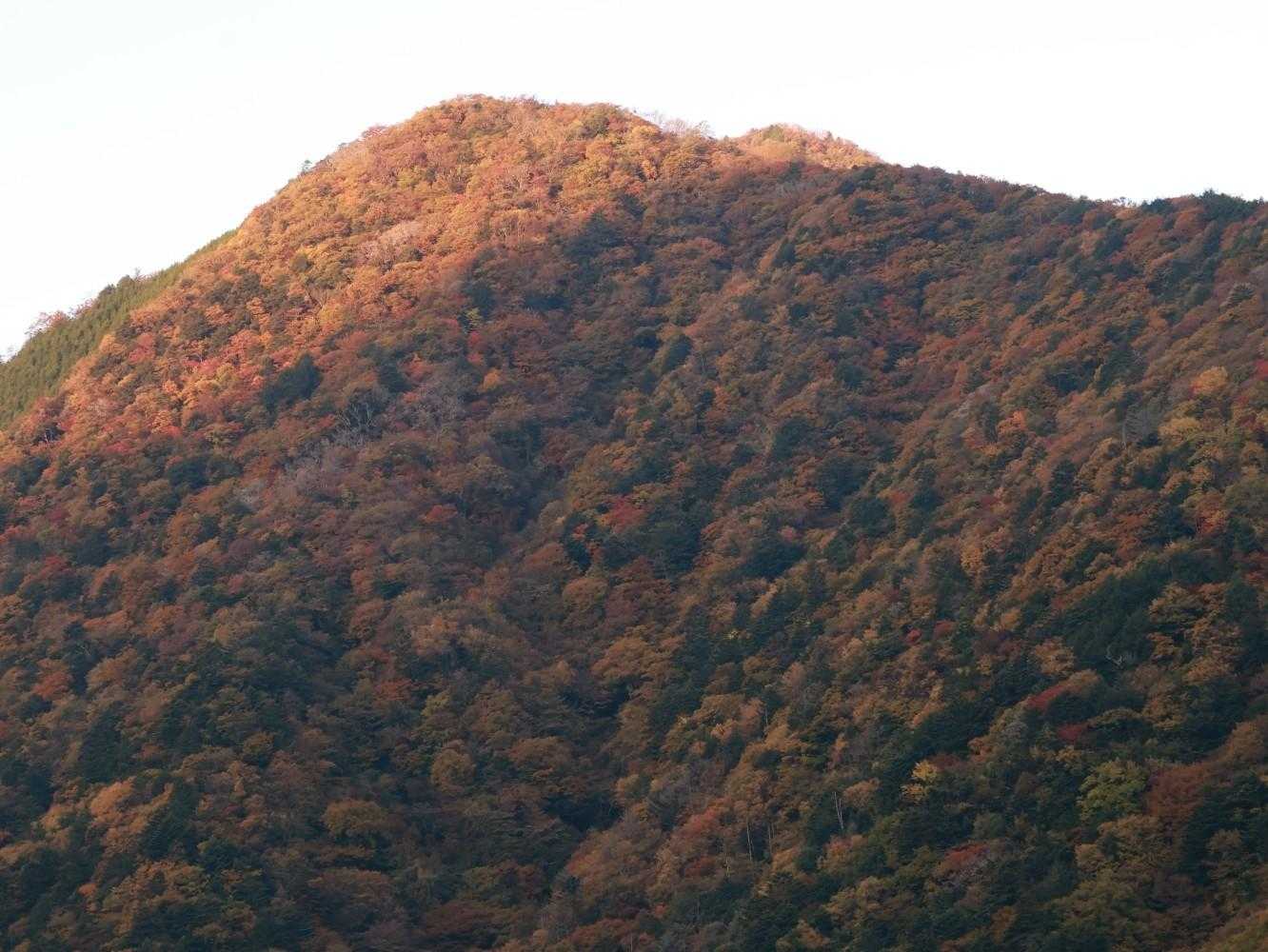 朝が来た☀️