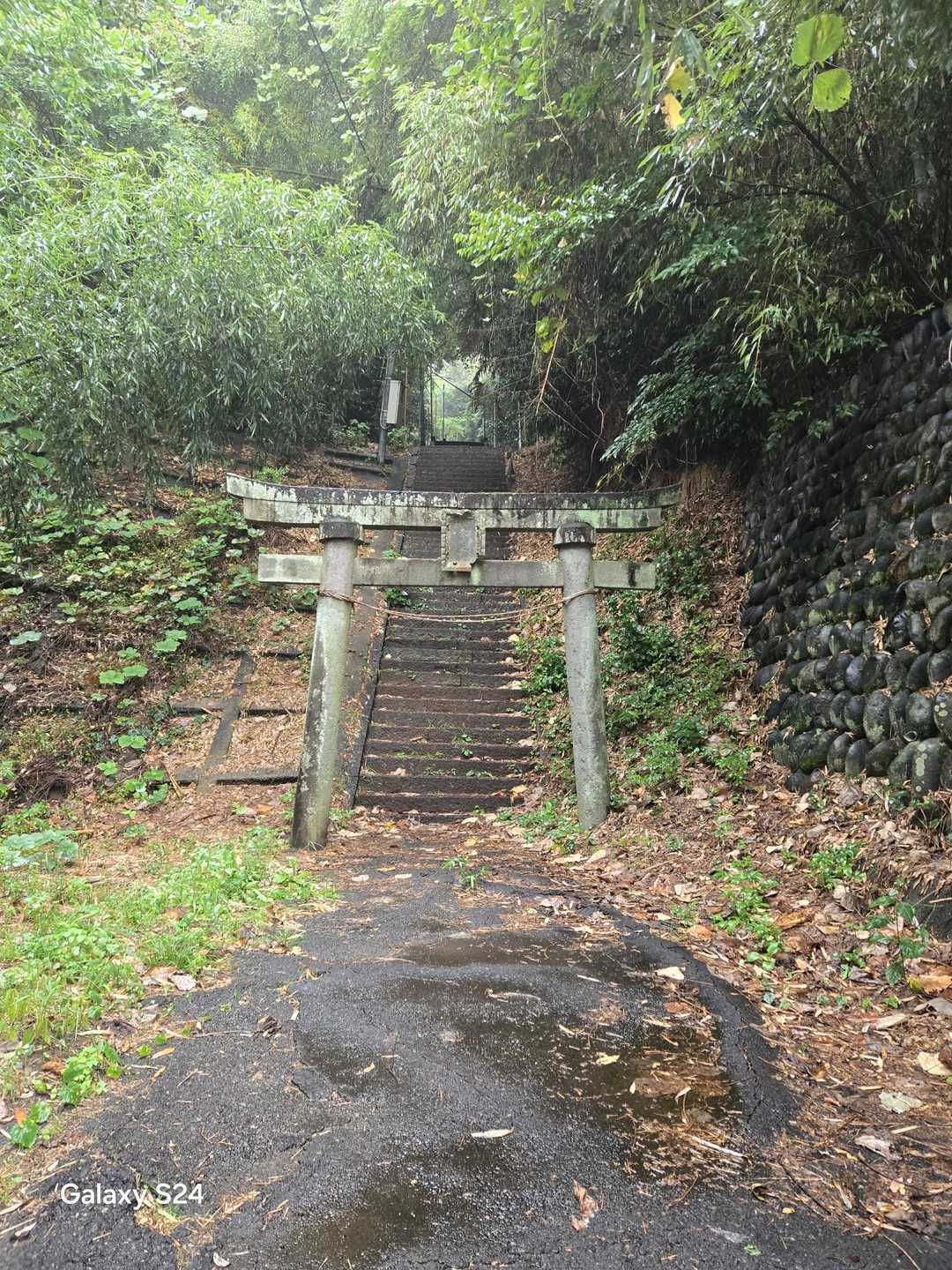 十二山-十二山登山口 往復コースの写真
