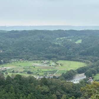 巾着田が見えた