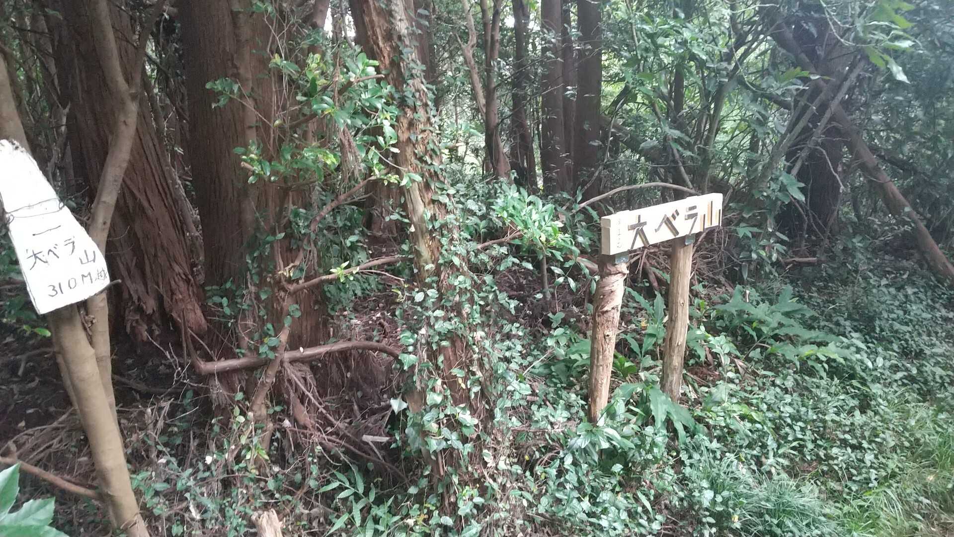 大ベラ山の写真