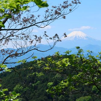 そのあとも富士山がちょこちょこ見えます😊