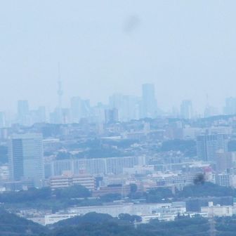 弘法山から今の時期、珍しくスカイツリーが見えた