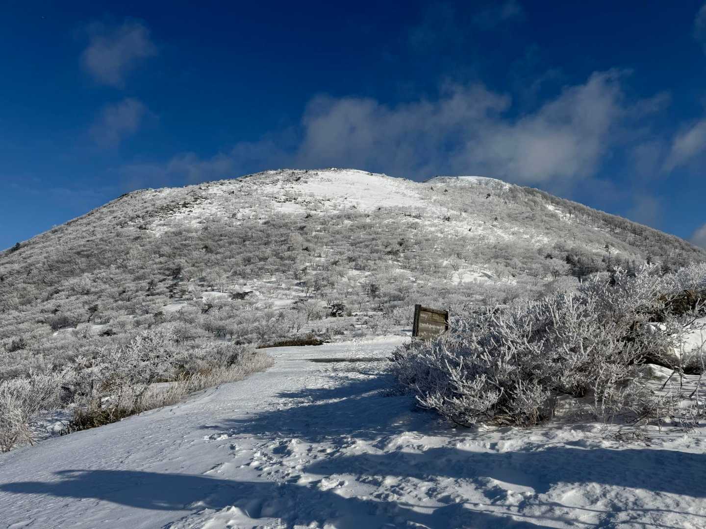 笹谷峠
大関山に登ってる人がいる