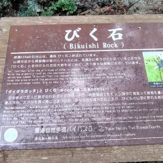 山名の由来となった「びく石」びく、とは、茶摘み用の籠のこと。さすがお茶どころっぽい名前。