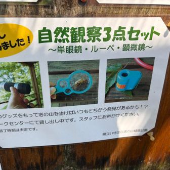 借りればよかった。うちにもあるけど