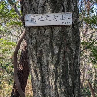 19　南池之内山