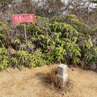 玖波行者山山頂