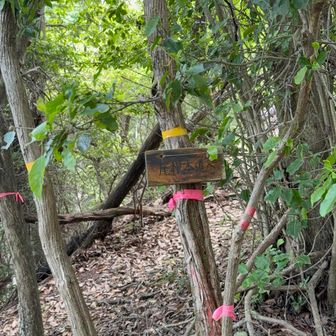 ピークから下りてくると、ピークを巻く道と合流。ピーク方面には「尾根本道へ」と案内板