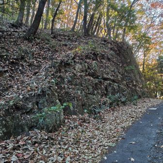 野山を下りて石清尾山への登山口
