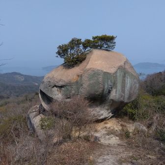 盆栽岩🌳②
岩の高さは、5mくらい
