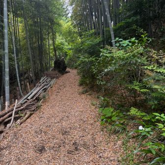 雰囲気