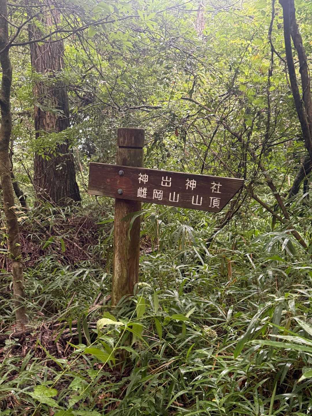 雌岡山登山口🥾