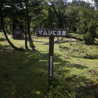 ありゃりゃ！まあムシしましょう！