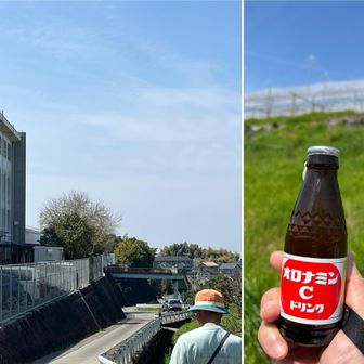 桑原中学校の横の道で何組もすれ違いました🥾
みなさんに愛されている淡路ヶ峠なんですね👏
私達はここでランチ（＆いただきもののオロナミンC）を済ませて本日のメインイベントいよてつ高島屋へgo