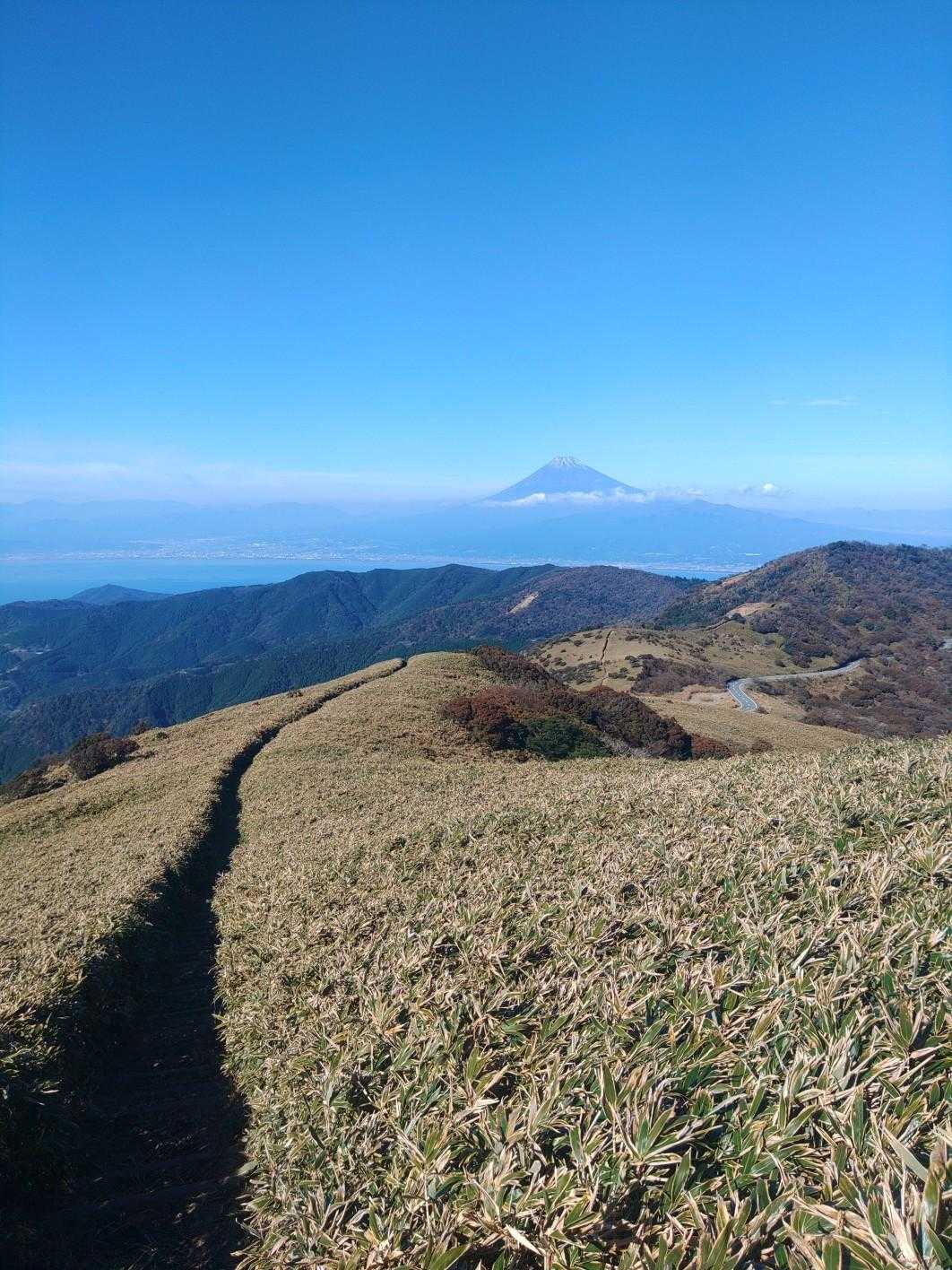 だるま山高原-金冠山-達磨山 往復コースの写真
