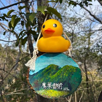 鷹巣御前山頂🐤🎵
夏バージョン⛰️
