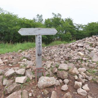 長七郎山とうちゃこ～♪
曇ってて展望なし😔