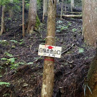 沢を渡ると登って行きます。