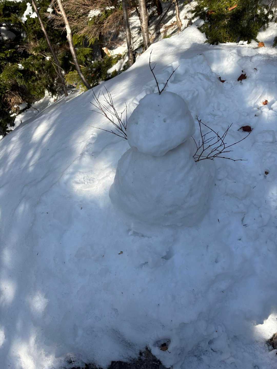 すずらん峠-蓼科山 往復コースの写真