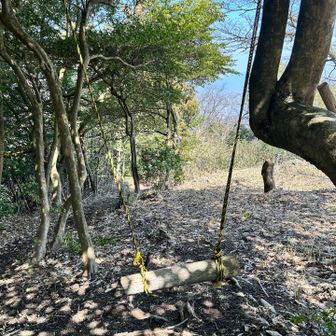 ブランコもあったよ
乗ってみたよ
ちょっと斜めってて楽しかったよ