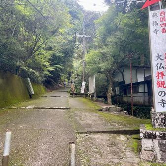 みやげ売り場のおっちゃんが、慌てずゆっくり！と忠告してくれた。
ここからが所謂、観音八丁の道のり！
