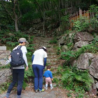 雌滝遊歩道は歩ける