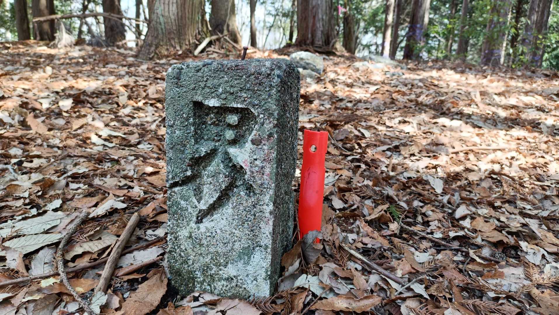 『界』って、国有林と民間林との境界とありますが、これがそうですかね？🤔
三角点は見つから無かったです。

メインはミツマタ群生なので、コチラはついでに登っただけ〜
そんな感じでしたー🤭

ほな、戻ります